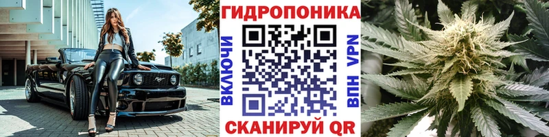 Как найти наркотики Кологрив АМФ КОКАИН ГАШИШ МЕФ Конопля