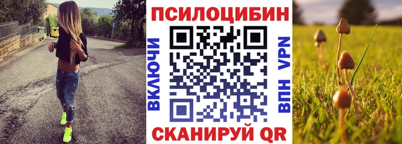 Псилоцибиновые грибы Magic Shrooms  где продают   Кологрив 